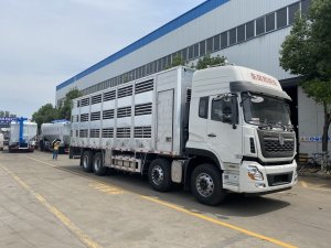 東風天龍9.6米全鋁合金豬苗運輸車(chē)